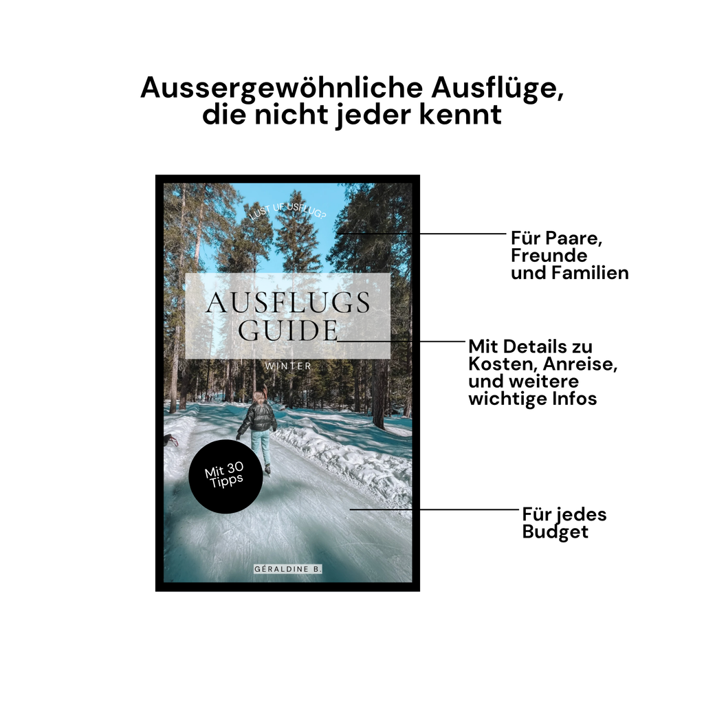 Schweizer Ausflugs-Guide Winter E-Book