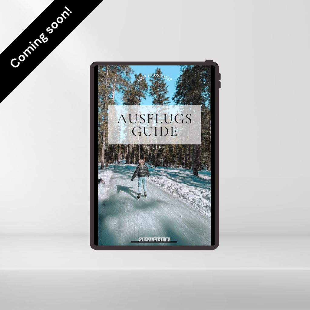 Schweizer Ausflugs-Guide Winter E-Book